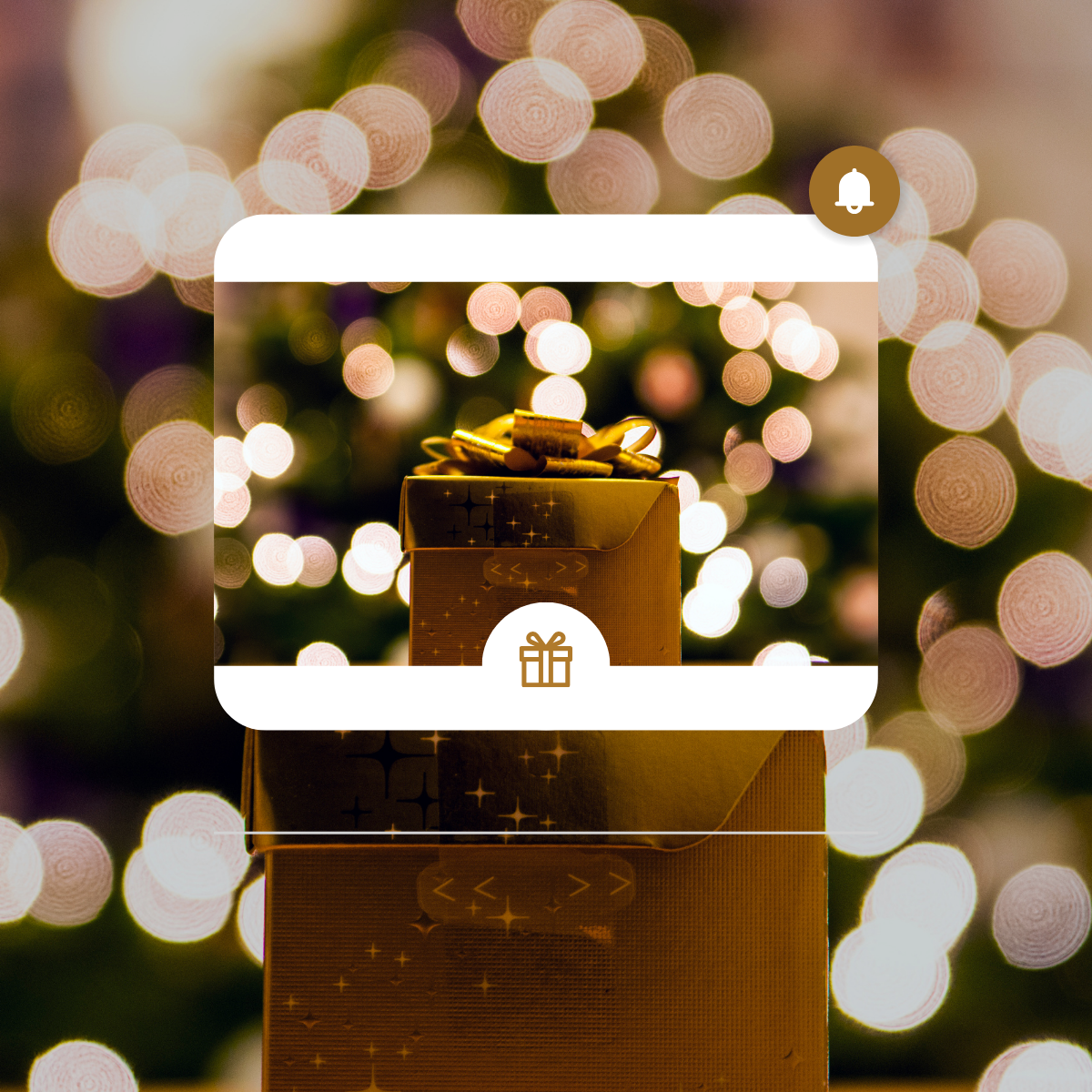 Coffrets produits pour Noël